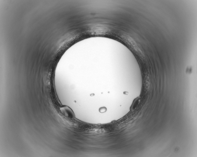 X0000093570543200711051059