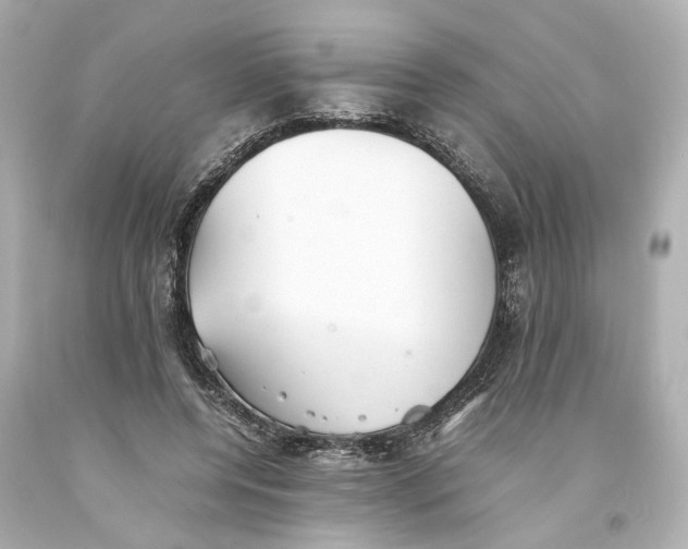 X0000093570544200711051059