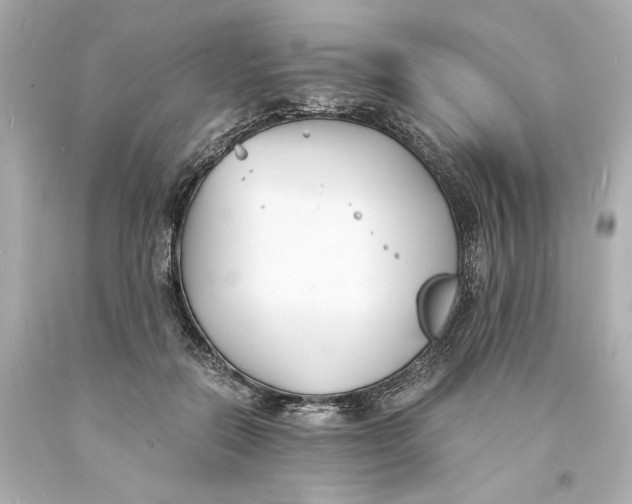 X0000093570554200711051059