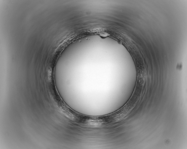 X0000093570556200711051059