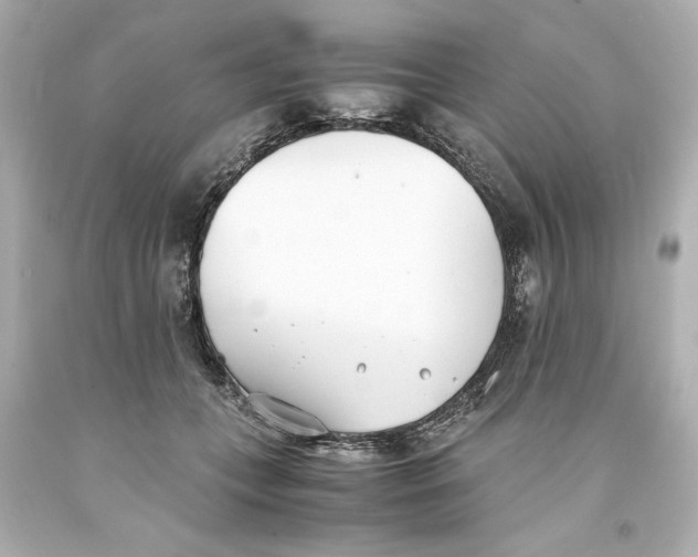 X0000093570559200711051059