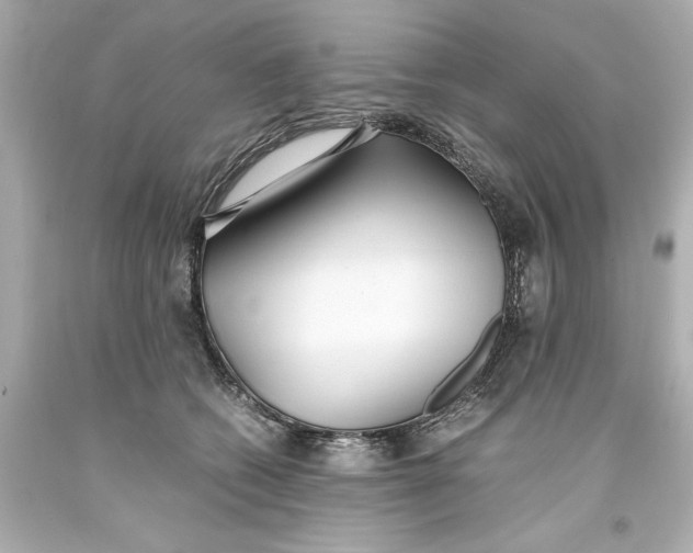 X0000093570562200711051100