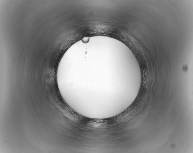 X0000093570563200711051100