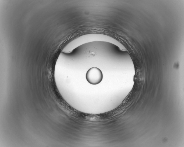 X0000093570564200711051100