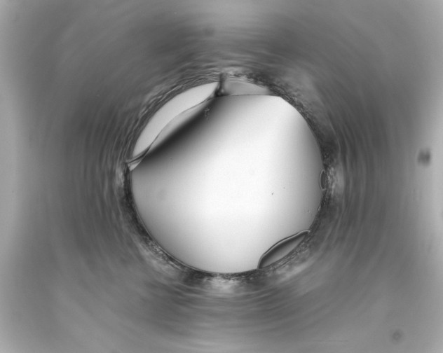 X0000093570570200711051100