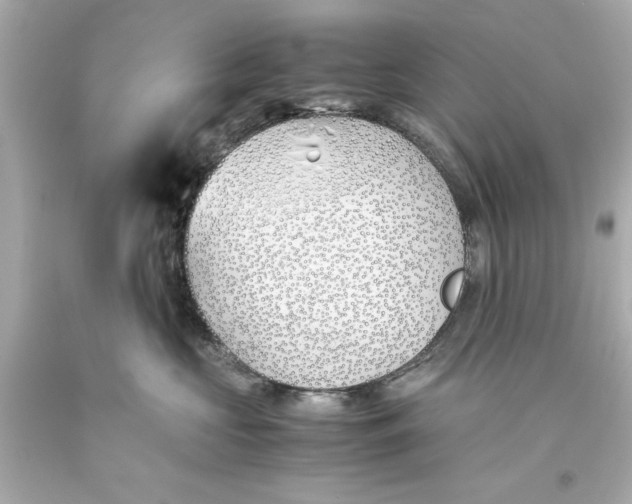 X0000093570573200711051100