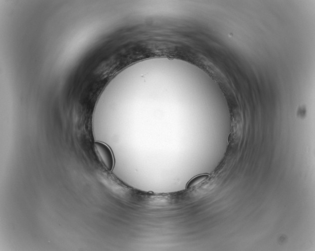 X0000093570574200711051100