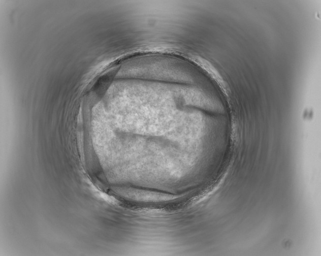 X0000093570577200711051059