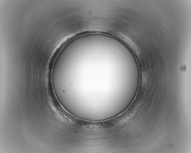 X0000093570580200711051059