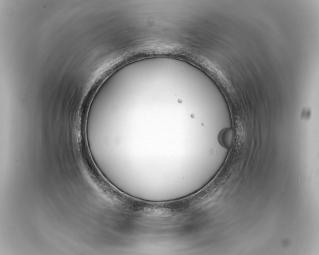 X0000093570582200711051059