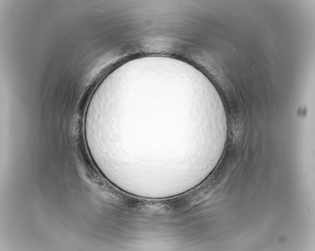 X0000093570583200711051059