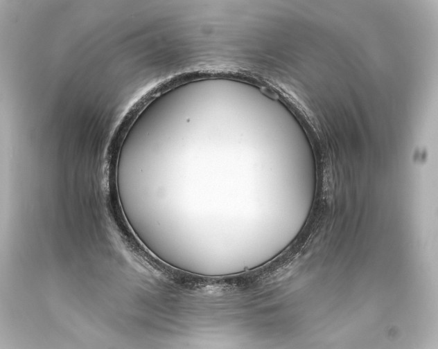 X0000093570584200711051059