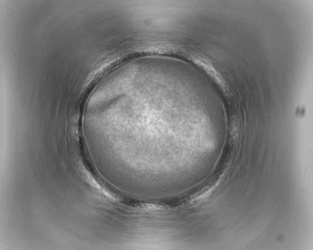 X0000093570585200711051059