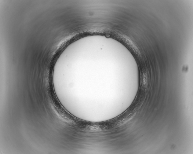 X0000093570588200711051059