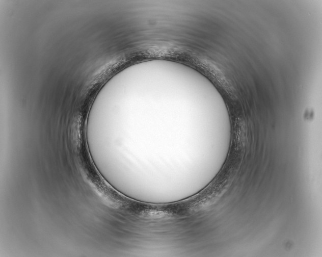 X0000093570590200711051059