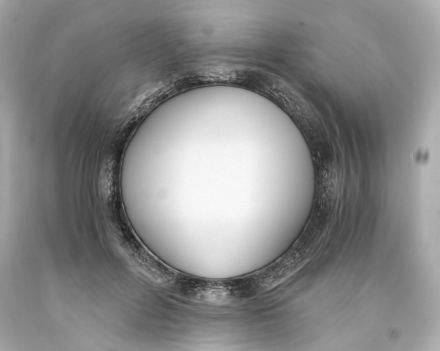 X0000093570600200711051059