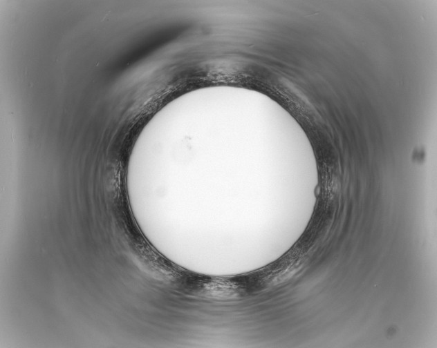X0000093570603200711051059