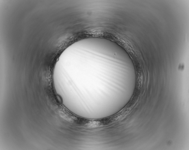 X0000093570609200711051059