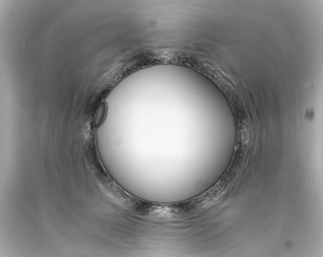 X0000093570611200711051059