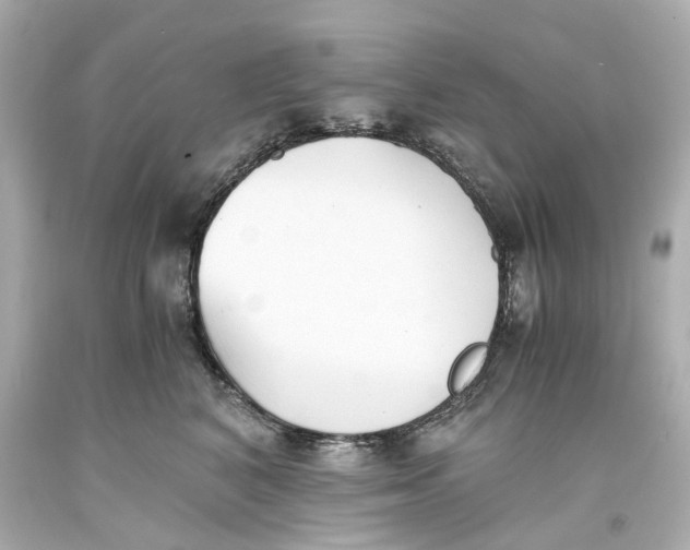 X0000093570616200711051059