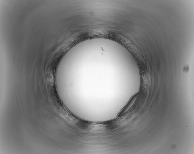 X0000093570617200711051059