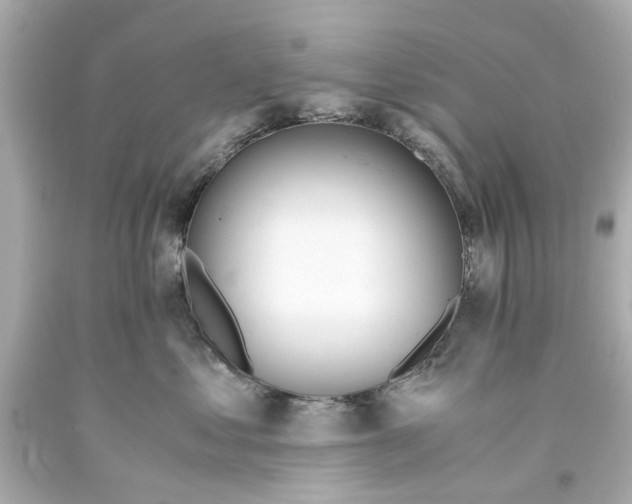 X0000093570621200711051059