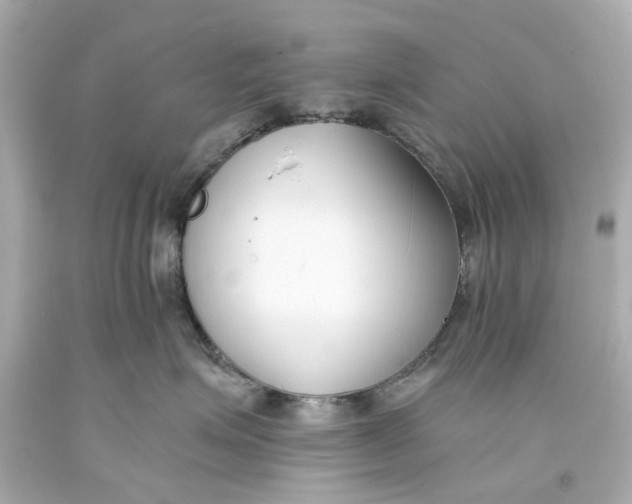 X0000093570623200711051059
