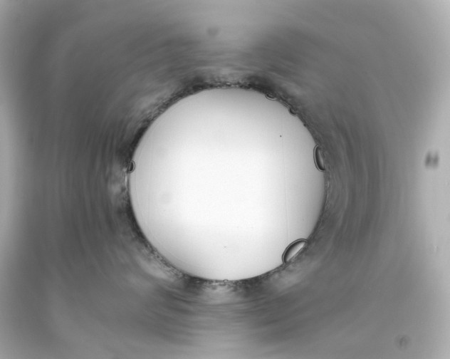 X0000093570624200711051059