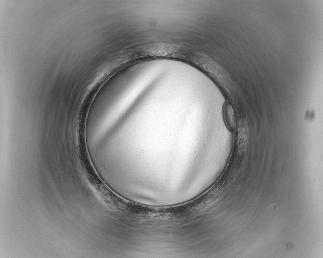 X0000093570626200711051058
