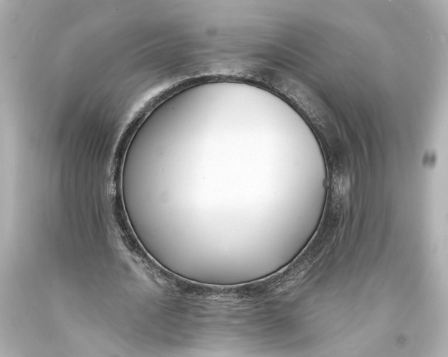 X0000093570628200711051058