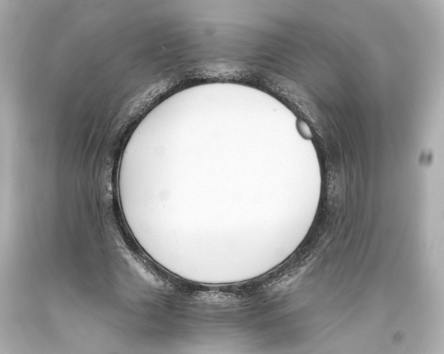 X0000093570633200711051058