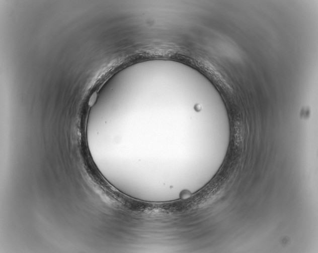 X0000093570634200711051058