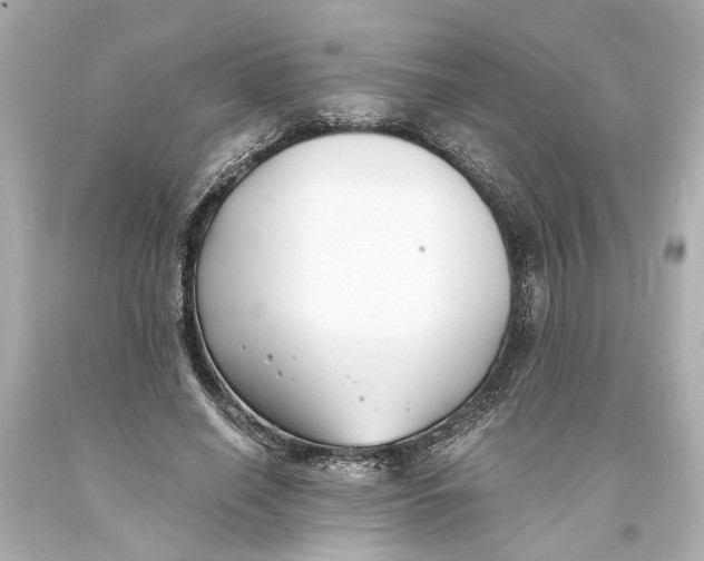 X0000093570638200711051058