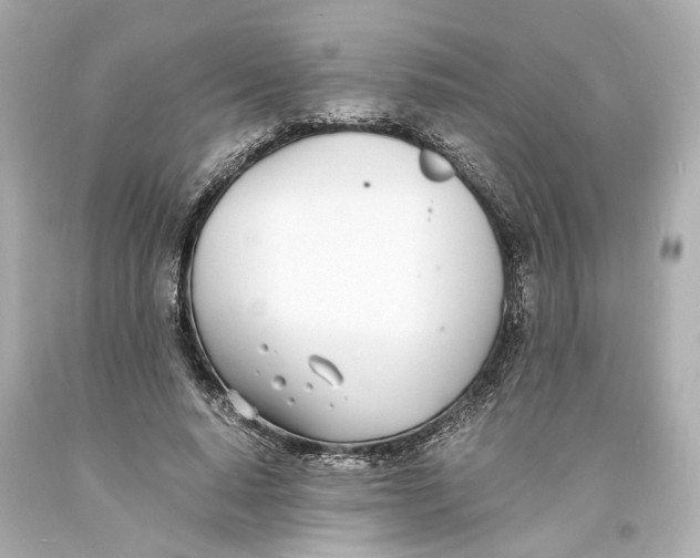 X0000093570640200711051058