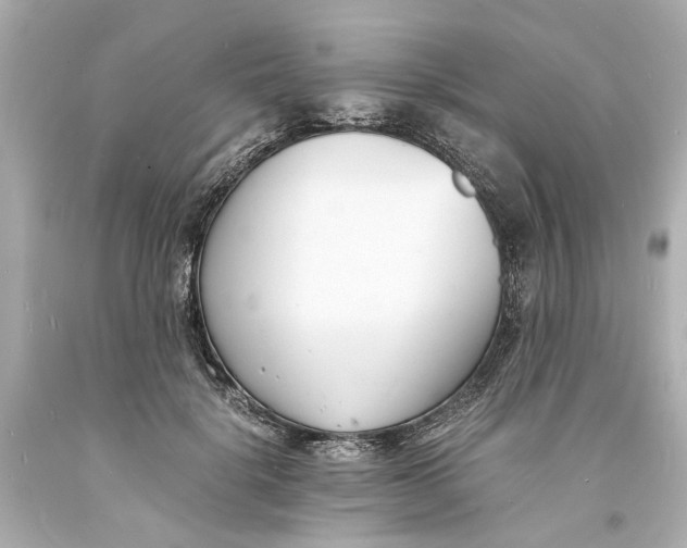 X0000093570652200711051058