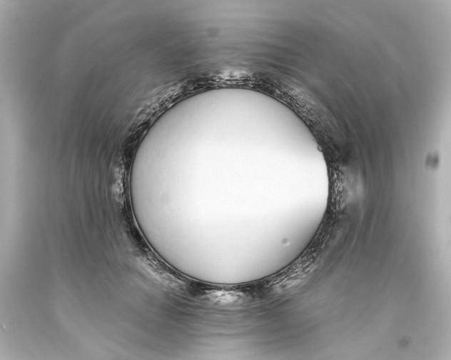X0000093570654200711051058