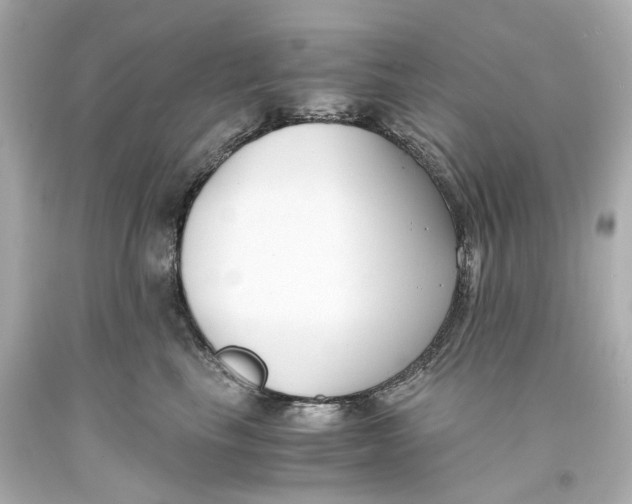 X0000093570665200711051058
