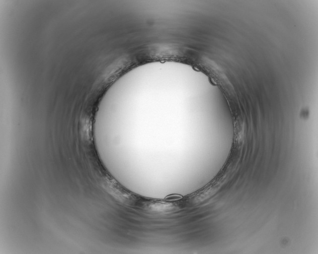 X0000093570669200711051058