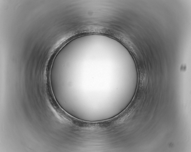 X0000093570674200711051058
