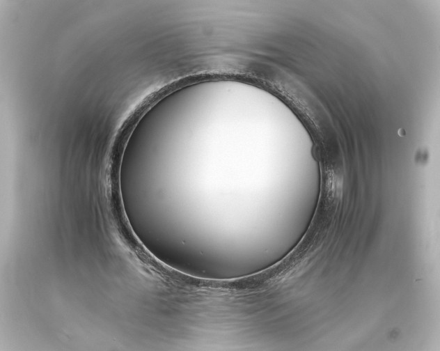 X0000093570676200711051058