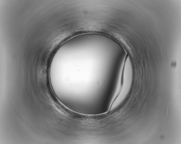 X0000093570677200711051058