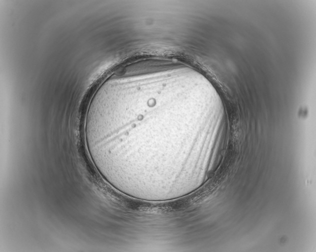 X0000093570679200711051058