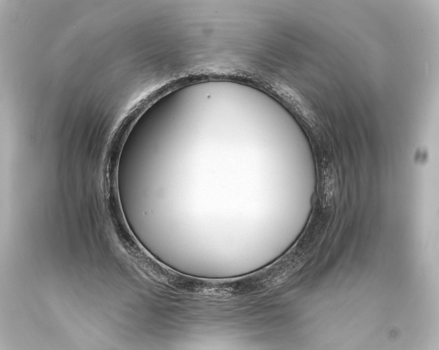 X0000093570680200711051058