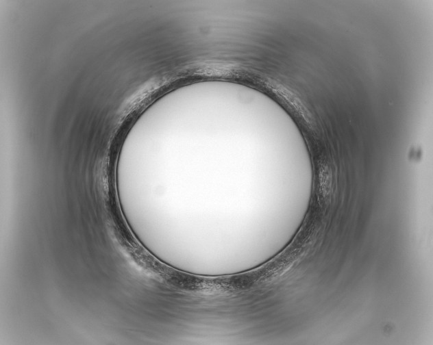 X0000093570682200711051058