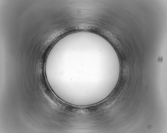 X0000093570683200711051058