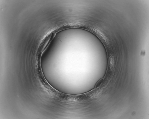 X0000093570684200711051058