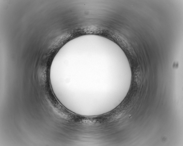 X0000093570690200711051058