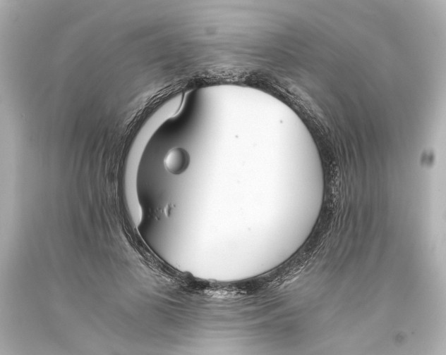 X0000093570693200711051057