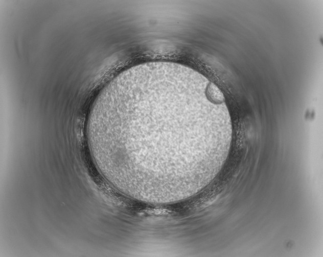 X0000093570695200711051057