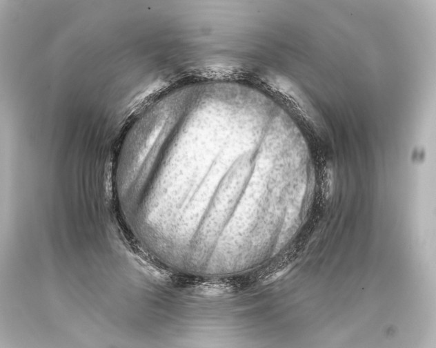 X0000093570696200711051057
